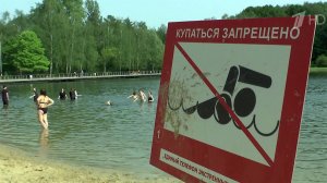 Паразиты из воды: что такое "зуд купальщика" и причем здесь утки