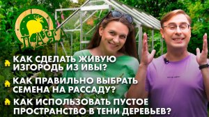 Живая изгородь из ивы | Что можно посадить в тени? |  Как  выбирать семена? | Лунный календарь. Дача