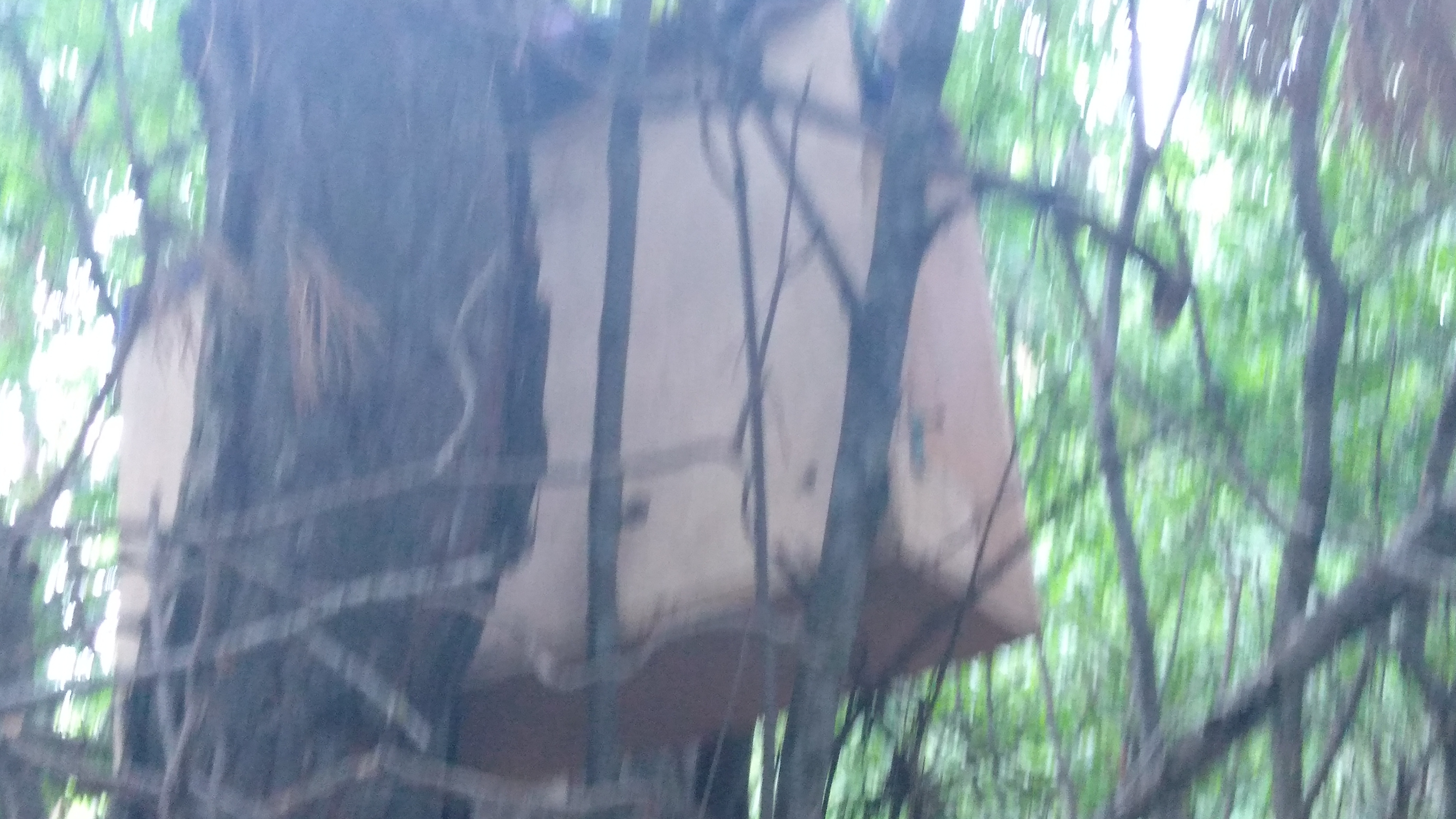 первый рой попался), упала лавушка  ! смотреть онлайн