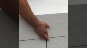 1000000080.mp4