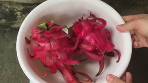 Кожура Драконьего Фрукта - Настоящее СОКРОВИЩЕ. Не Выбрасывайте Ее 🌺❣🌺