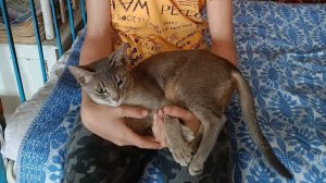 Поездка в деревню №2