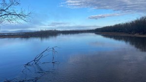 Охота на гуся 2025