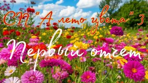 СП "А лето цвета3" первый отчет
