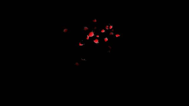 ФУТАЖ  -МАЛИНА  - ХРОМАКЕЙ НА ЗЕЛЕНОМ ФОНЕ