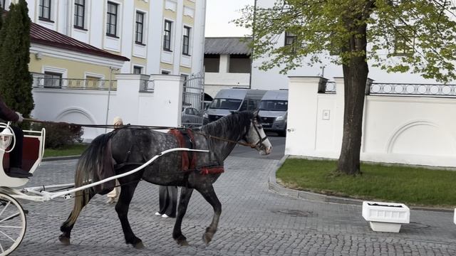 Уникальный уличный стиль Москвы: такого на ТВ не покажут! Прогулка по городу
