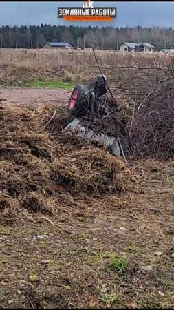 Заросли убрали, участок расчистили — посмотрите результат