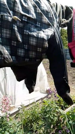 Сушу верхнюю одежду.
