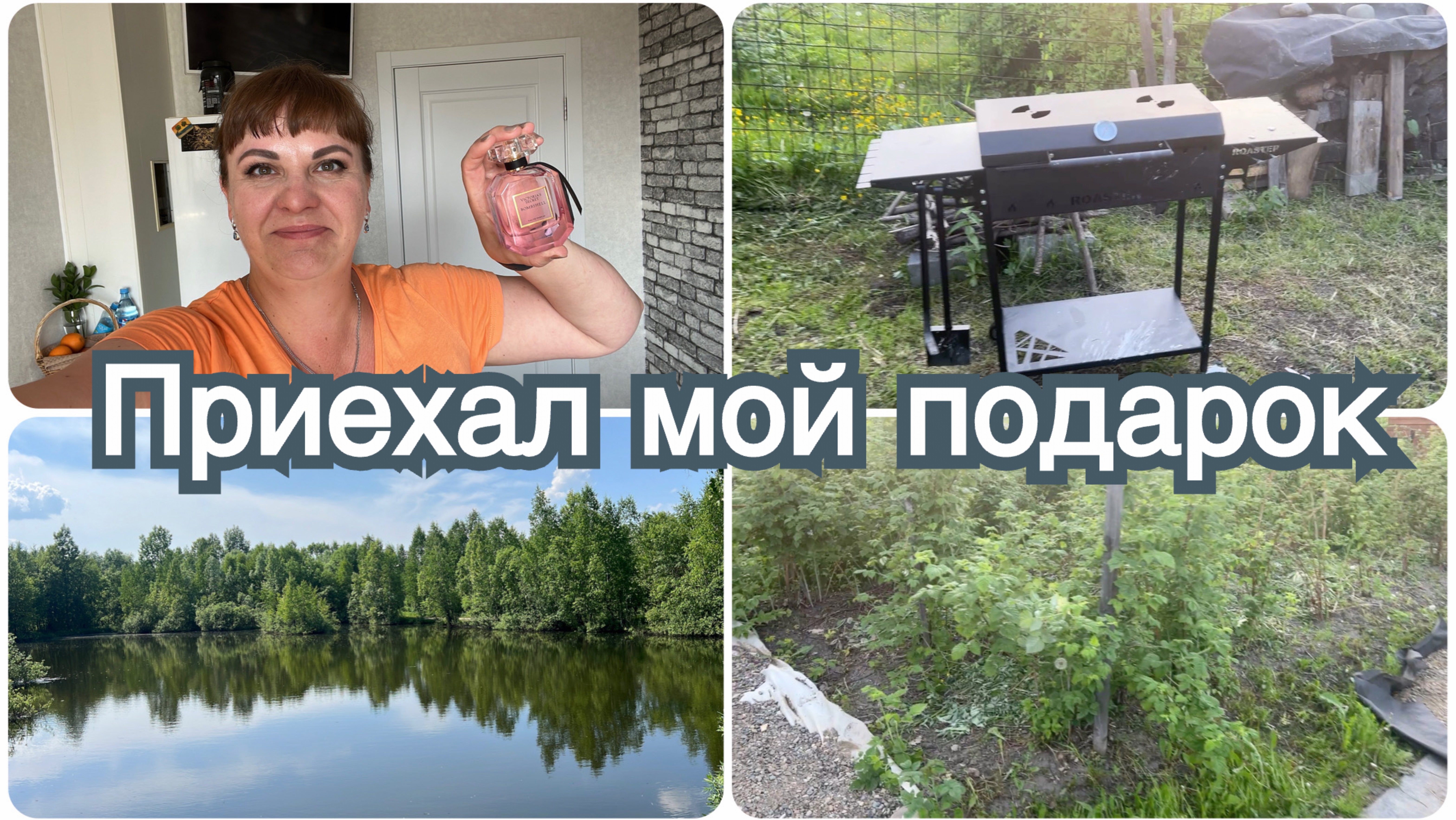 Купили дачу год назад. Приехал мой подарок. Все было заросшим.