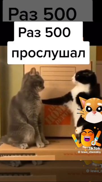 1000102228.mp4