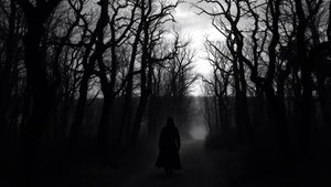 Shadows - Voices