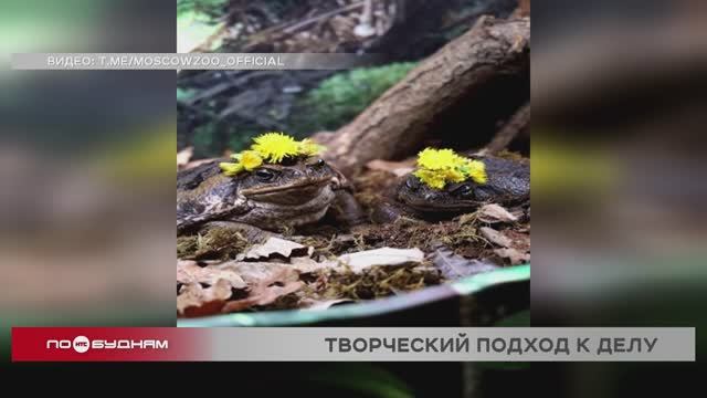 "По весточке": творческий подход к делу
