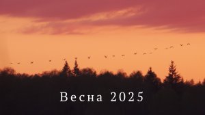 Весна 2025. Краткий обзор наших походов. Лучшие моменты