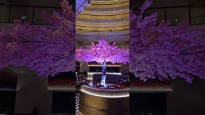 ОЧЕНЬ КРАСИВЫЙ ОТЕЛЬ 5* M SOCIAL HOTEL PHUKET на ПАТОНГЕ С САКУРО