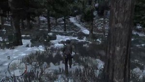 Локация для охоты на бобров в Red Dead Redemption 1