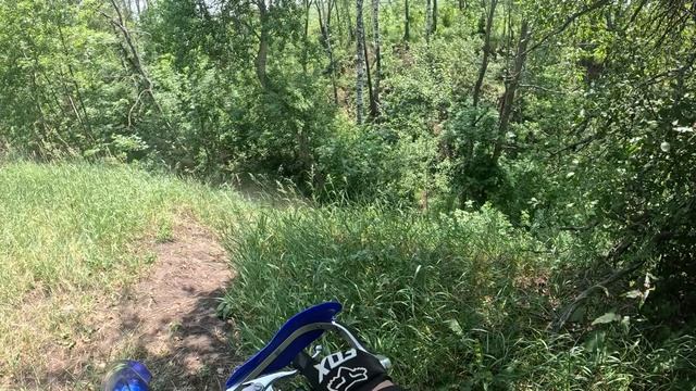 Прохват по Рамони 07.06.25
