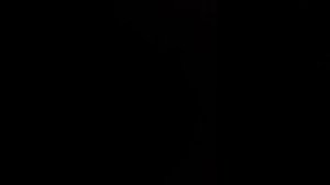 делаем домик, ящерицэ