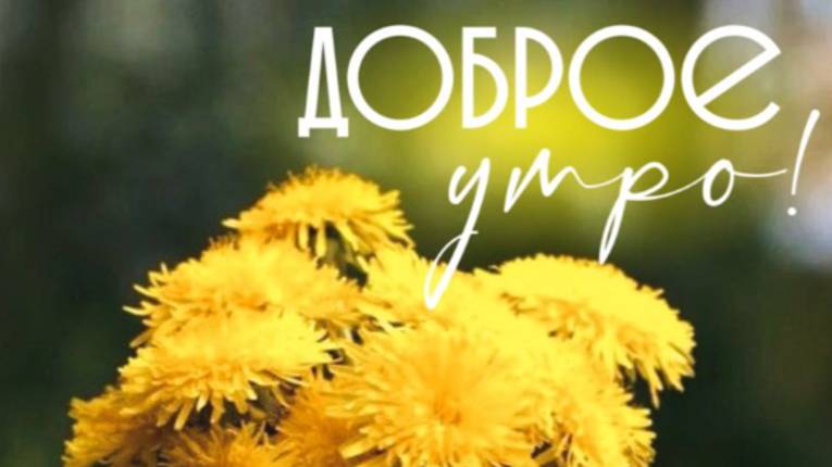 Суббота! Доброе Утро и Хорошего Дня Субботы! #утросубботы
