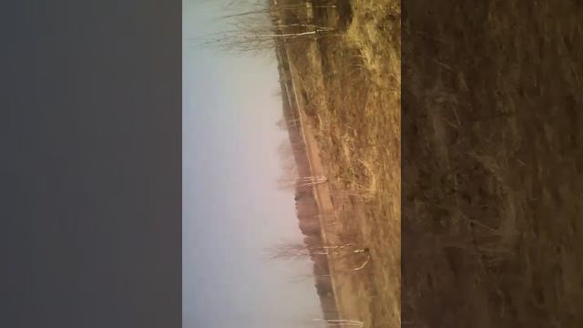 Взорваная школа#1 смотреть онлайн