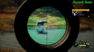 theHunter: Call of the Wild.Битти:Умение выждать