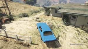 Фотоохота в GTA Online | Где найти курицу