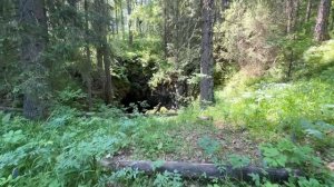 Река  Серга  сплав от Половинка до Аракаево пещера Мшыстая