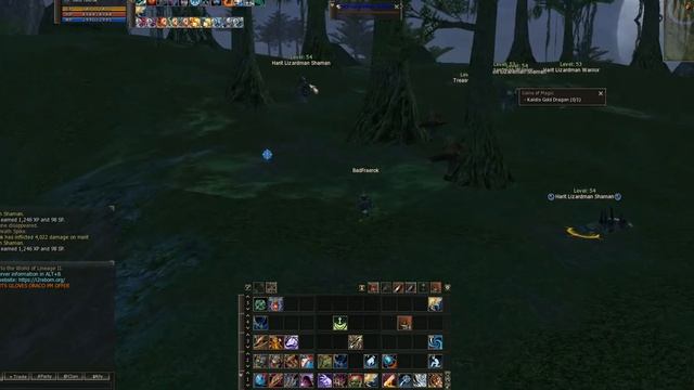 #badfraerok #lineage2 #games #игры #l2 #la2 #Квесты #quests #40лвл #квестывха смотреть онлайн