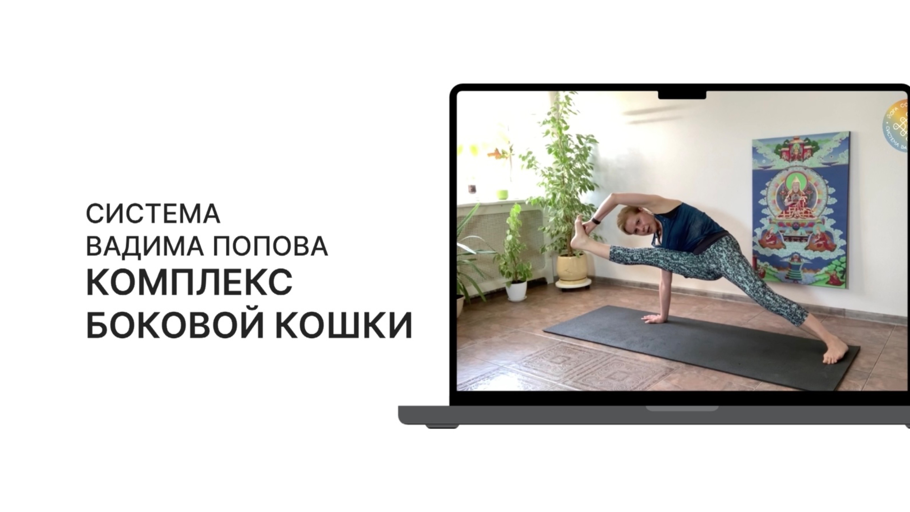 Комплекс «Боковая Кошка» в Стстеме Вадима Попова