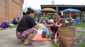 ''Harvesting Watermelon to Sell at Market - Cooking a Meal After a Hard Day''. Trieu Mai Huong