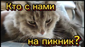 Кто с нами на пикник? 💞