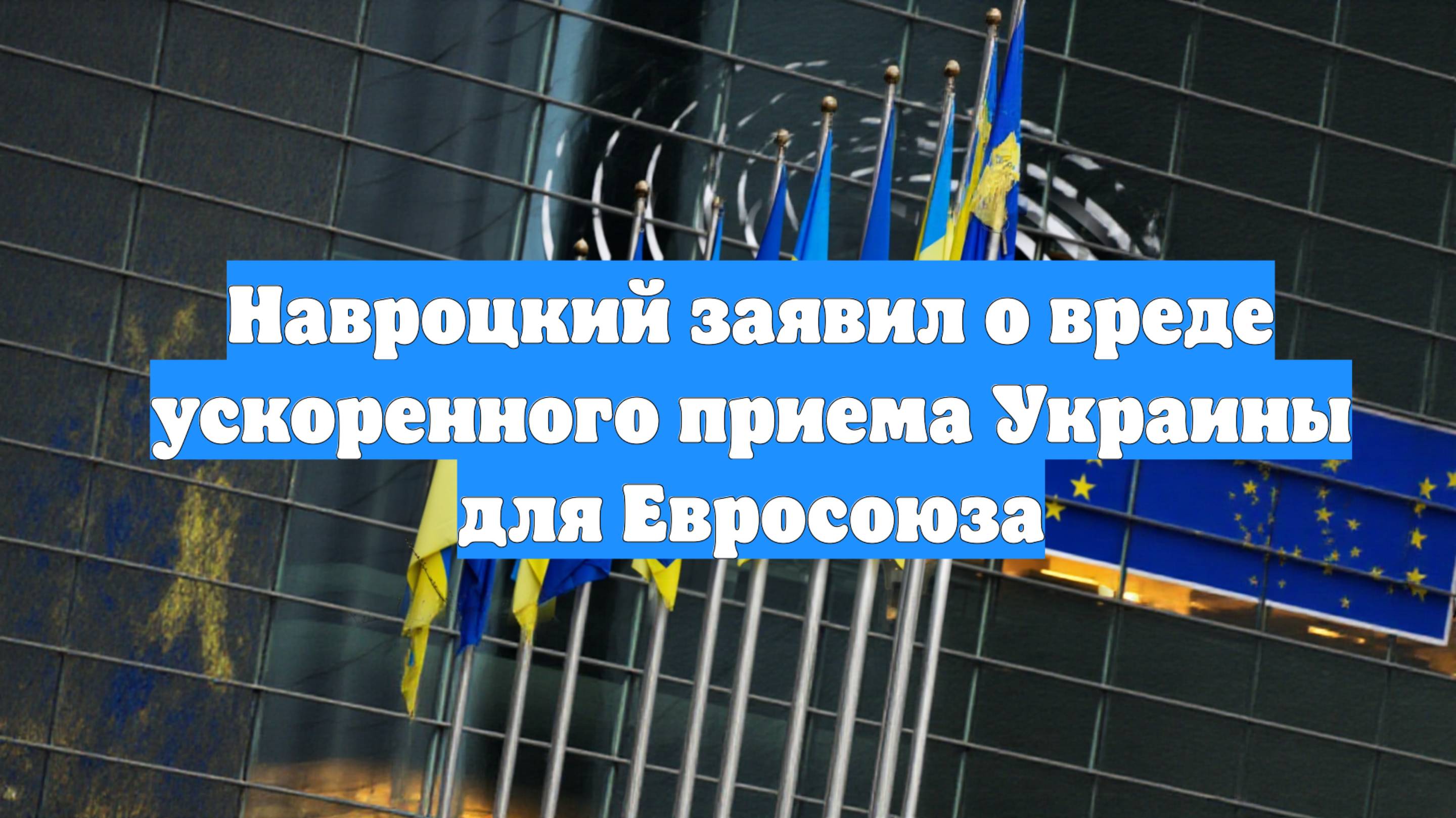 Навроцкий заявил о вреде ускоренного приема Украины для Евросоюза