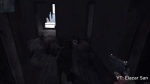 КОТ БАЮН в #STALKER2 | НОВЫЙ МУТАНТ В СТАЛКЕРЕ