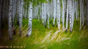 Не простая женщина ЗК -Пускает ПЫЛЬ в глаза