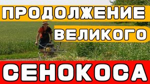 Заготовка СЕНА! Труд ради отдыха. Вышли на новый уровень заготовки.