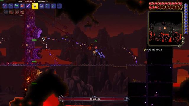 Босс "СТЕНА ПЛОТИ" смотреть онлайн