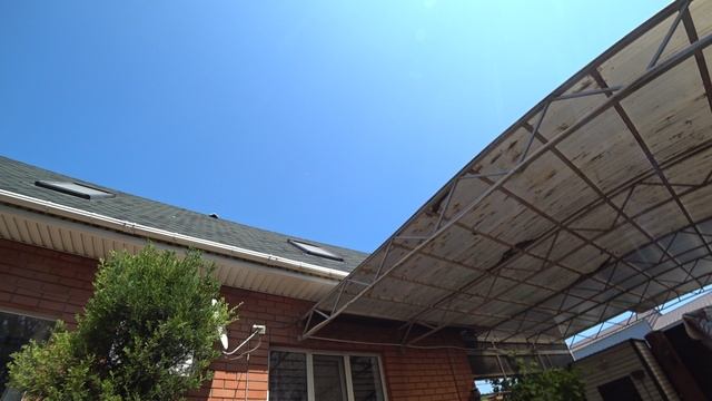 07.06.25 г. Андижанские голуби (5)