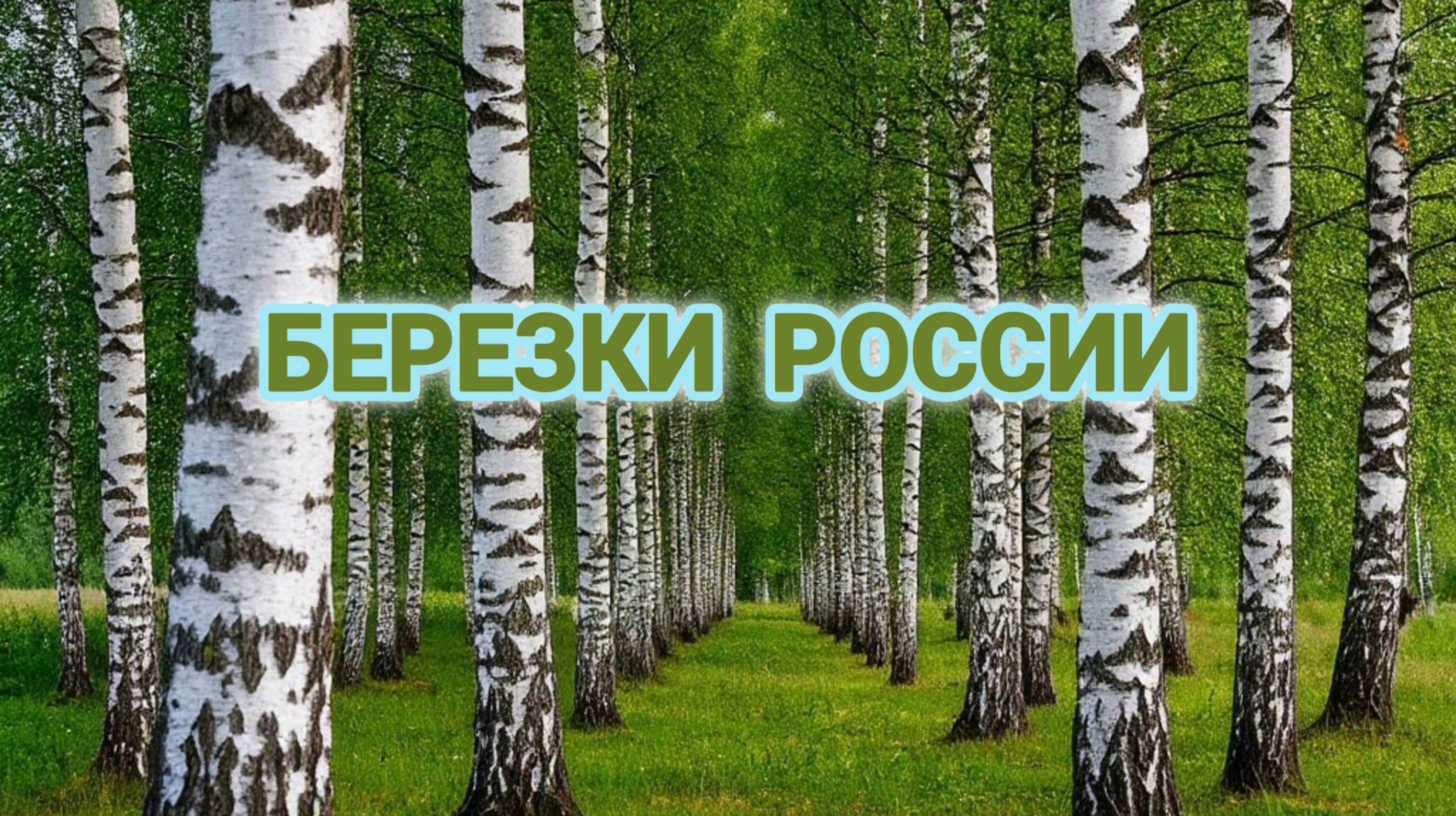 СО СВЯТОЙ ТРОИЦЕЙ! БЕРЕЗКИ РОССИИ