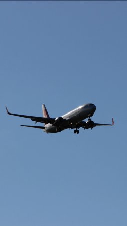 RA-73269 Boeing 737-800
Nordwind (Северный Ветер)
Первый летний подзаборинг.01.06.25.