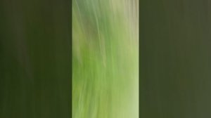 я один все прлшол