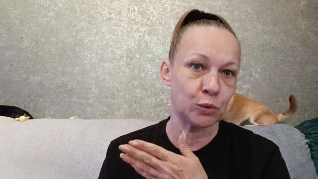 Встреча гостей внезапно перенеслась.
