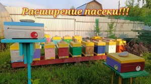 Расширение пасеки!!!