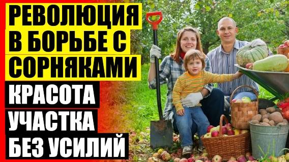 Сорняк сныть как с ним бороться 💣 Раствор для борьбы с сорняками ⚫