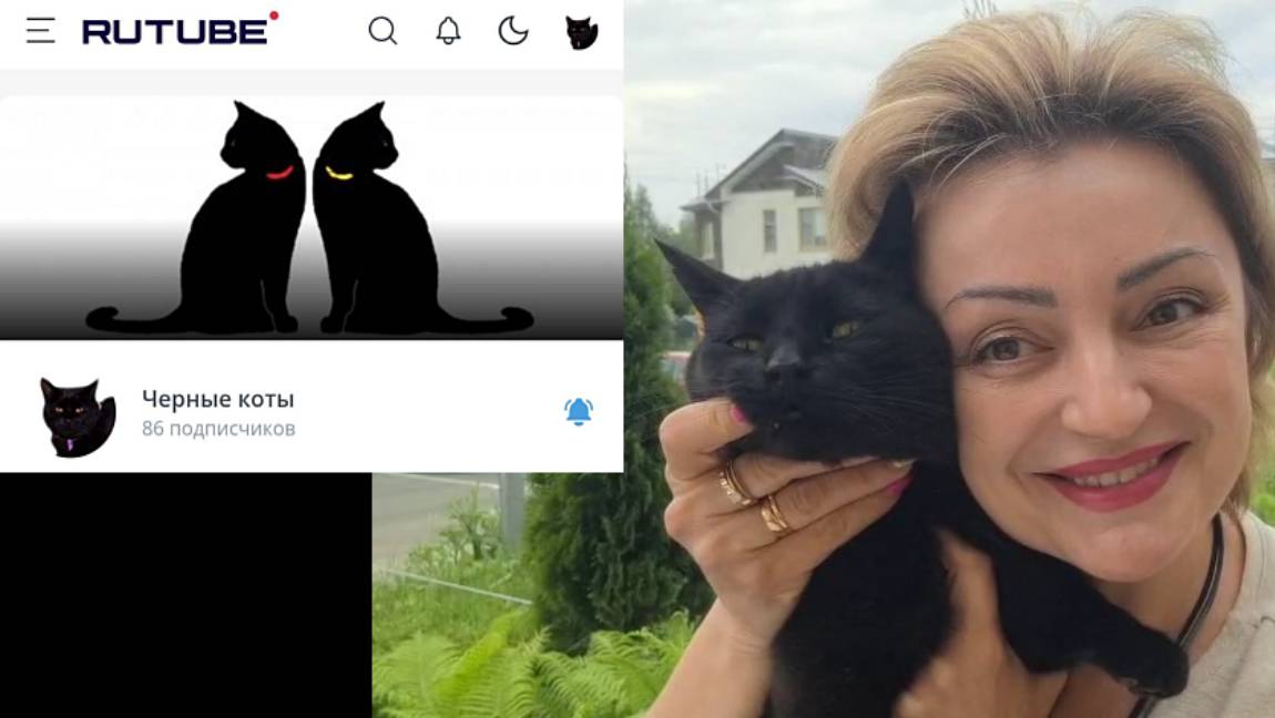 🔥 Рутуб-прорыв: рост канала за 7 дней! – проверено котами 🐈⬛✨