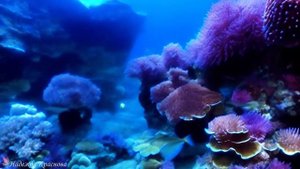 Медитация «Полное очищение подсознания от негативных