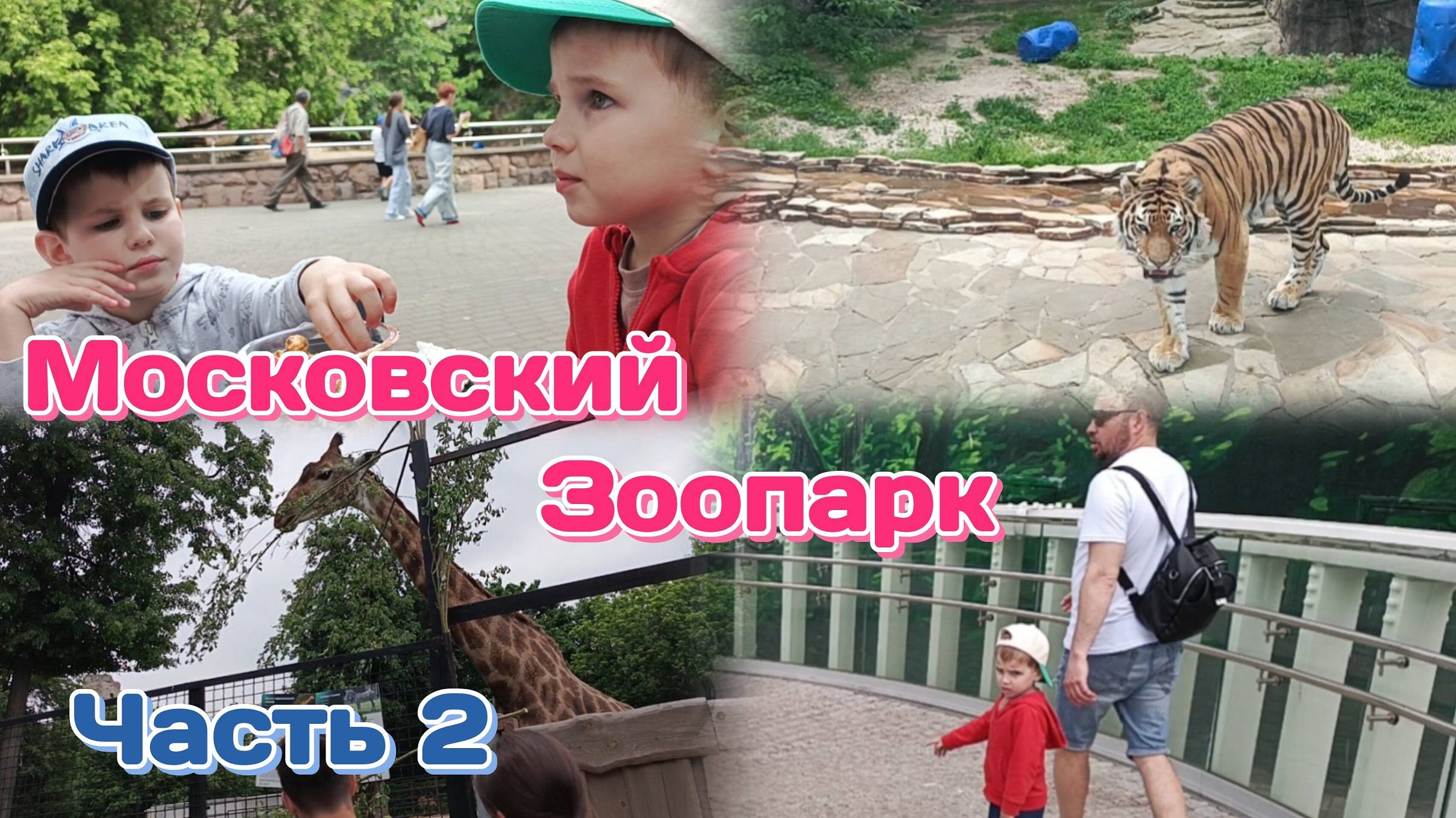 Московский зоопарк.Наконец то Панда Часть 2 30.05.25
