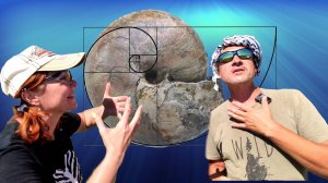 ИДЕАЛЬНЫЕ  АММОНИТЫ НАЙДЕНЫ | ЭКСПЕДИЦИЯ В МОРДОВИЮ. ЧАСТЬ 2