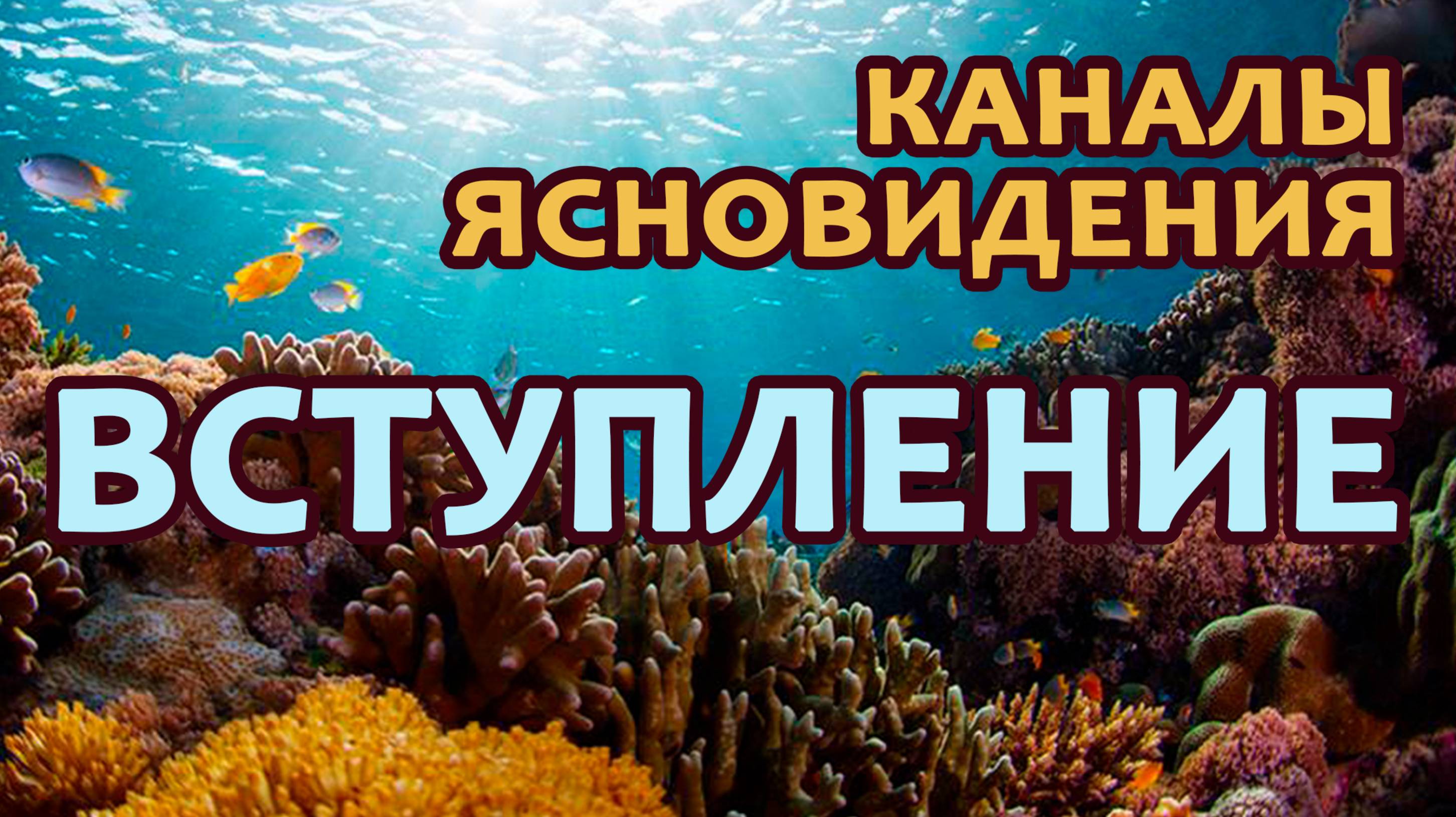 Вступление | Работа с каналами ясновидения | Практика Прямых Порталов