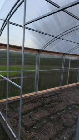 накрыл поликарбонат на крышу теплицы 12×4