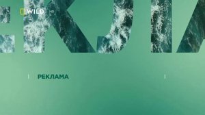 Nat Geo Wild HD Реклама