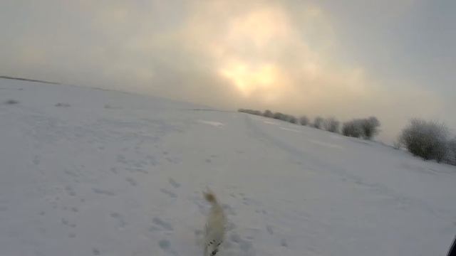 ВЛОГ  Зима.Зустріч з Тарзаном.Сальто.Квадрокоптер смотреть онлайн